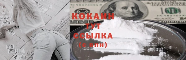 сатива Магадан