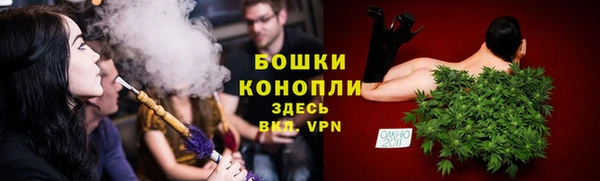 стафф Майский