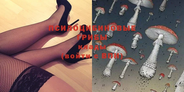 сатива Магадан