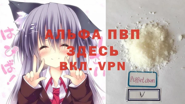 прущий лед Магас