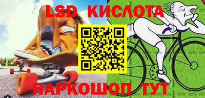 a pvp Гатчина