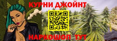 a pvp Гатчина