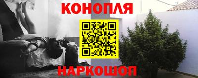 эйфоретик Гай