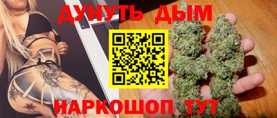 a pvp Гатчина
