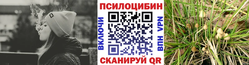 Галлюциногенные грибы мухоморы  блэк спрут   Лосино-Петровский 