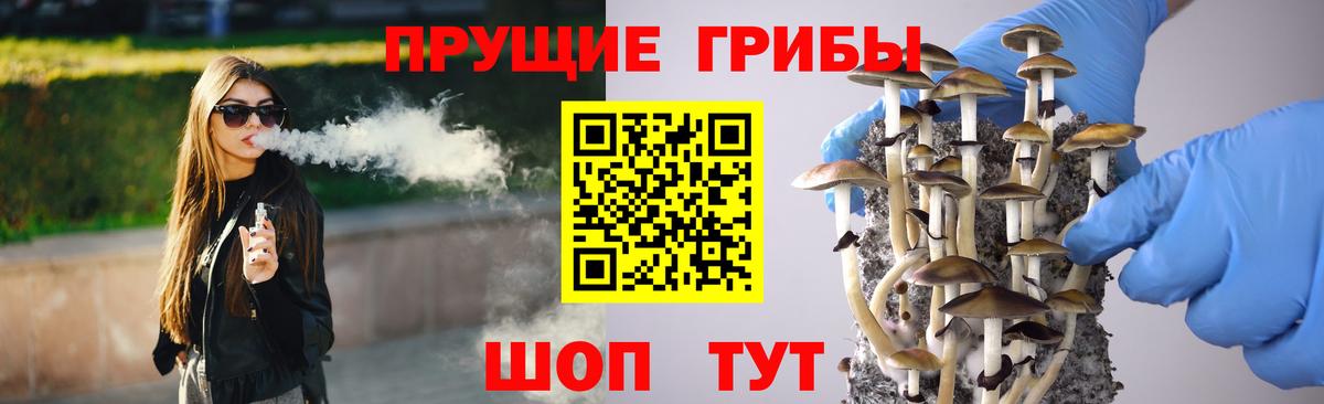 Лосино-Петровский  Псилоцибиновые грибы GOLDEN TEACHER  Вход с VPN 